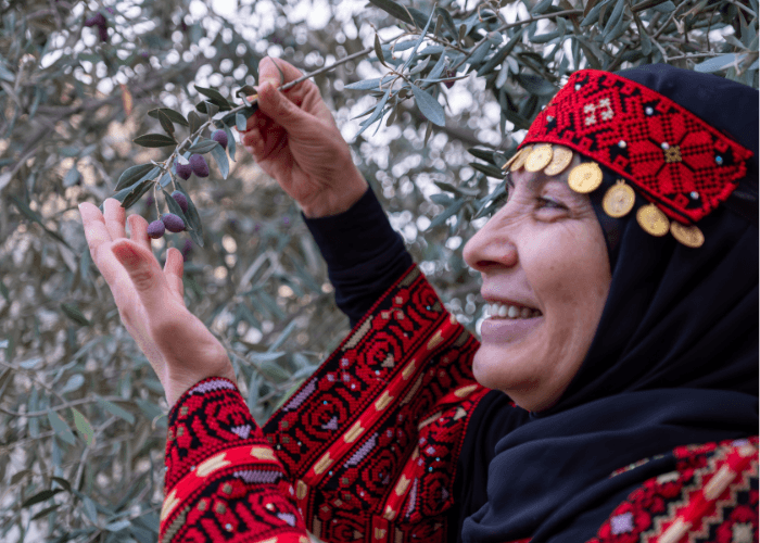 Palestinian woman in traditional embroidered thobe and gold headdress smiling while harvesting olives