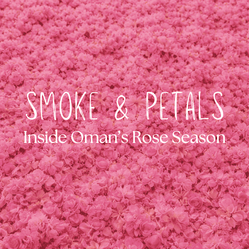 Smoke & Petals writing on rose flowers